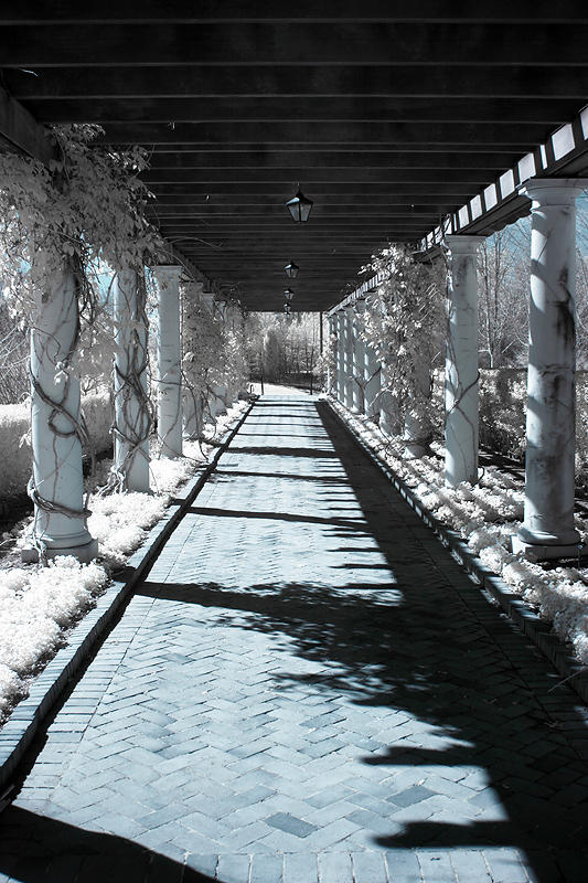 A Path Less Taken... by summervillepix on DeviantArt