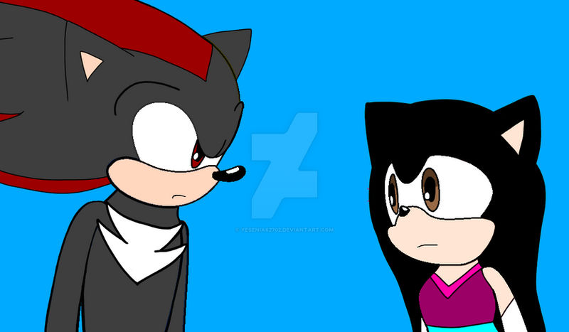 Shadow and Riley look at Each Other by Yesenia62702 on DeviantArt