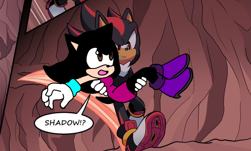 Shadow saves Riley from falling by Yesenia62702 on DeviantArt
