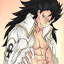 Magic Council Gajeel