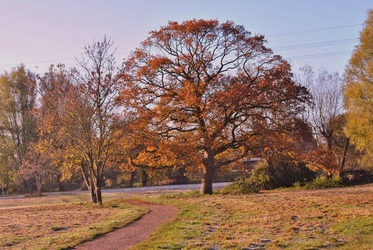 Autumn in the park