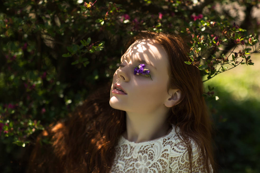 Dried flowers by youth-youth Dried flowers by youth-youth