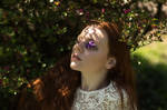 Dried flowers by youth-youth Dried flowers by youth-youth