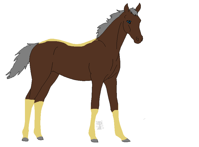 requested foal for Golden-Apple-Acres