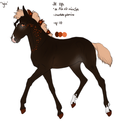 2781 Padro Foal Design