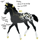 5879 Padro Foal Design
