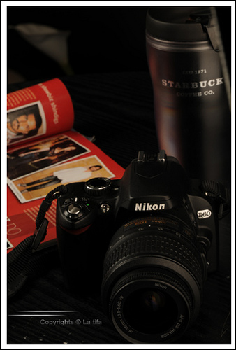 All My Days .. NIKON