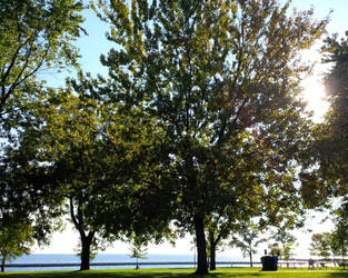 Lakeshore20130928