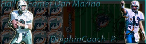 DolphinCoach_R