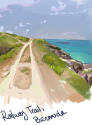 Google Street View Study - Bermuda