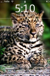 Iphone Cheetah