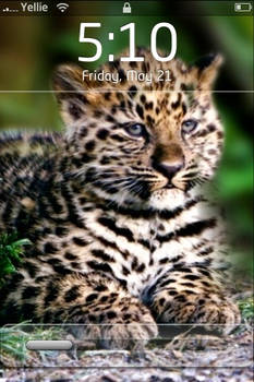 Iphone Cheetah