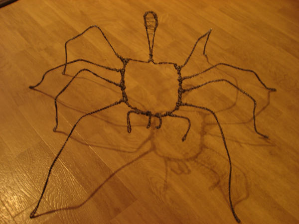 spider armature