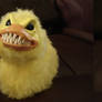 evil ducky..