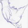 pidgeon doodle