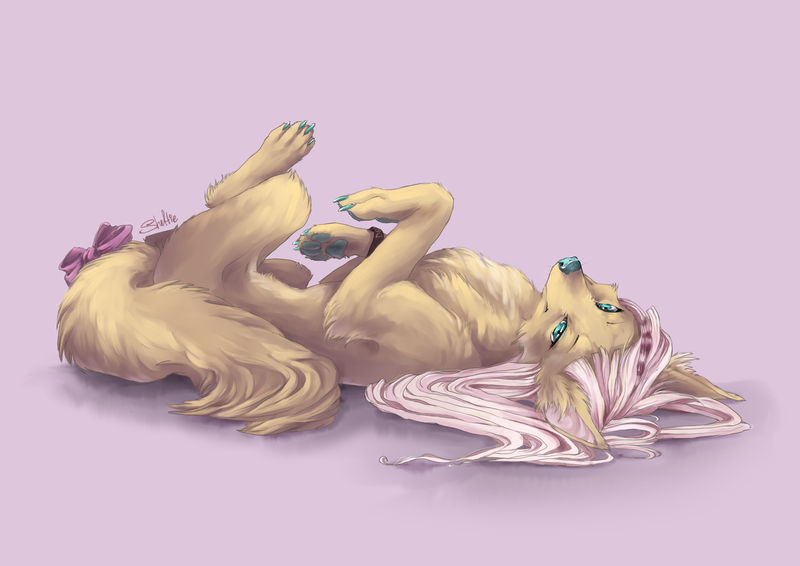 Sweet rest by NorthSheltie