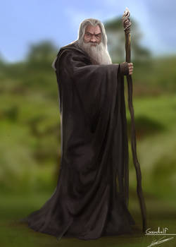 Lord of the Rings / Gandalf the Grey