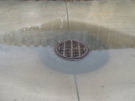 The Water Is Not Going In The Sewer Drain