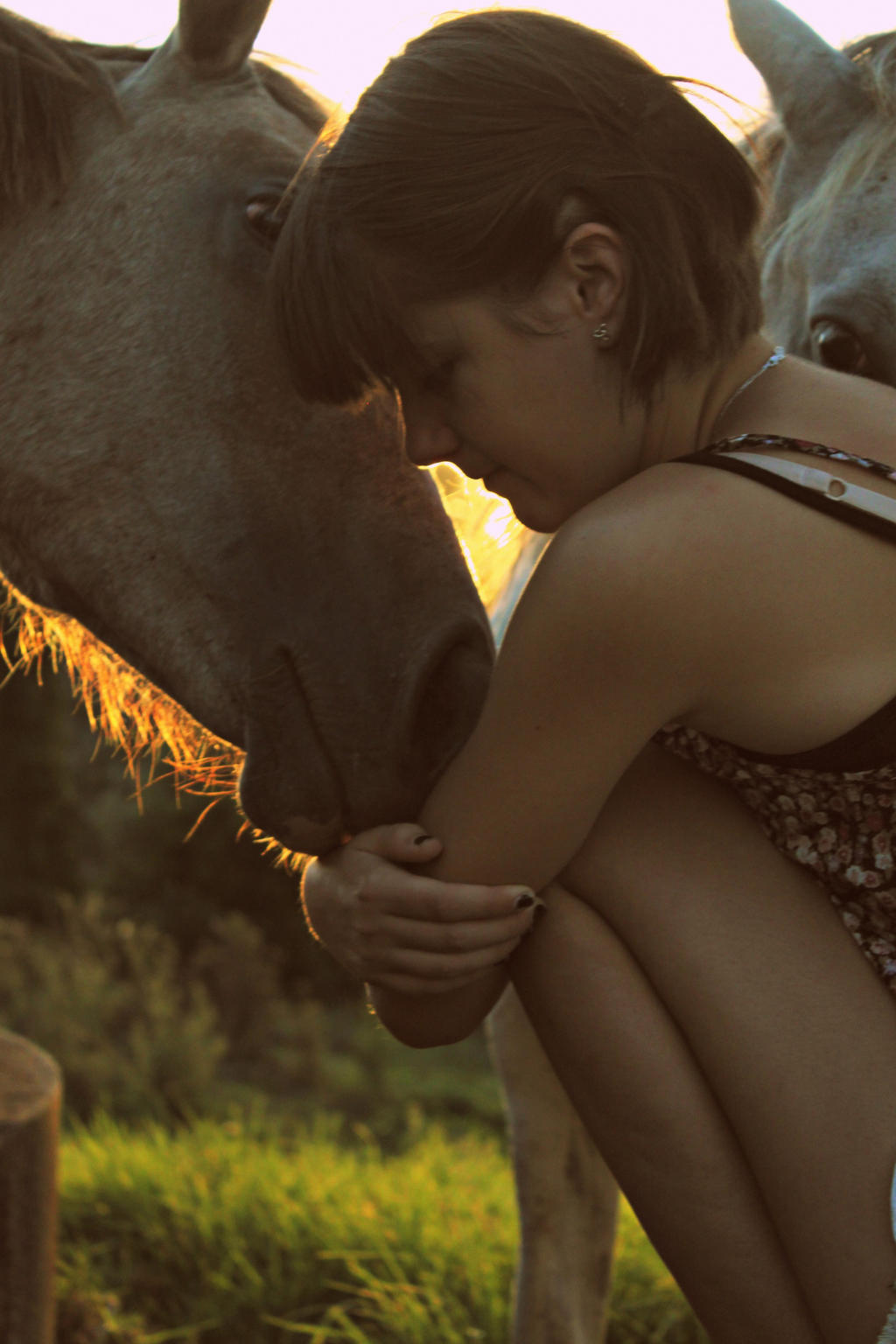 Horse kisses