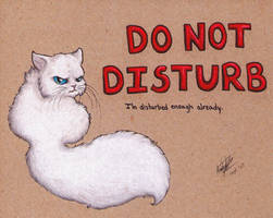 Do Not Disturb