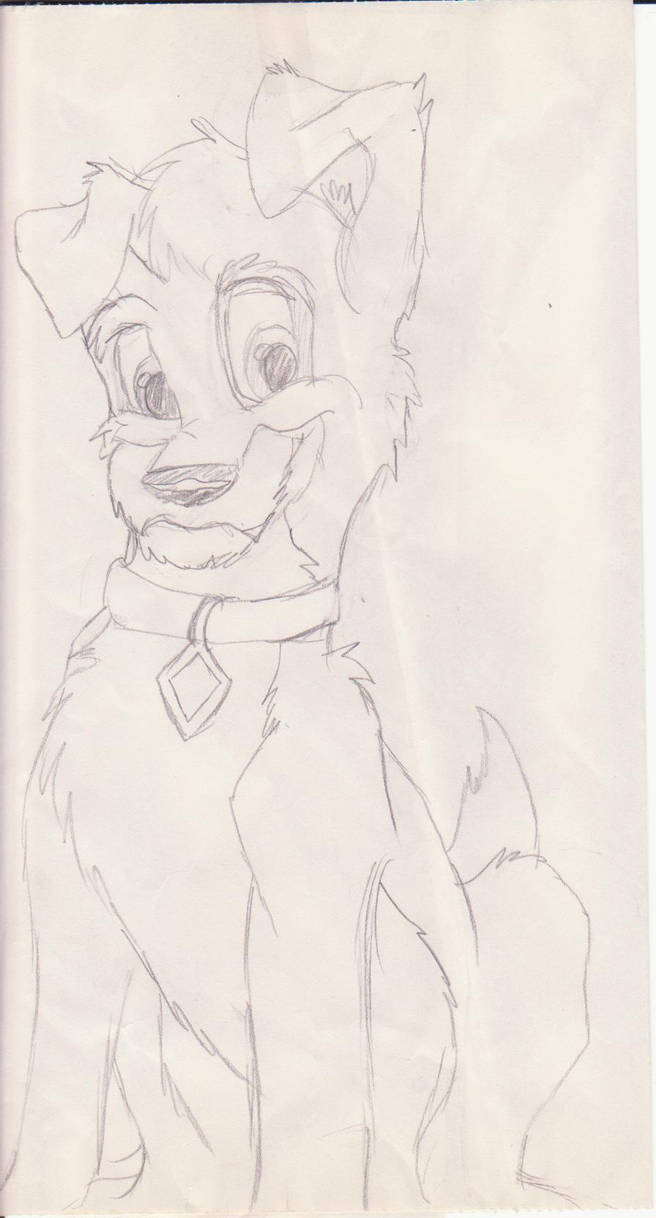 scamp-lady and the tramp2 by timberwolf93 on DeviantArt
