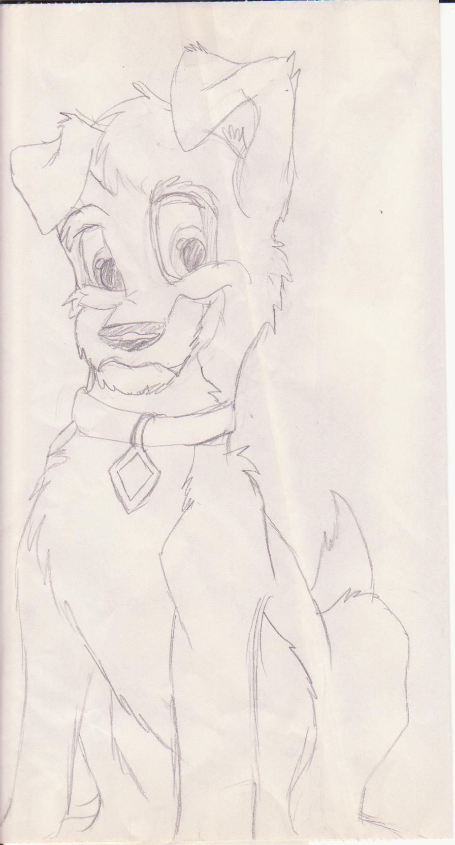 scamp-lady and the tramp2 by timberwolf93 on DeviantArt