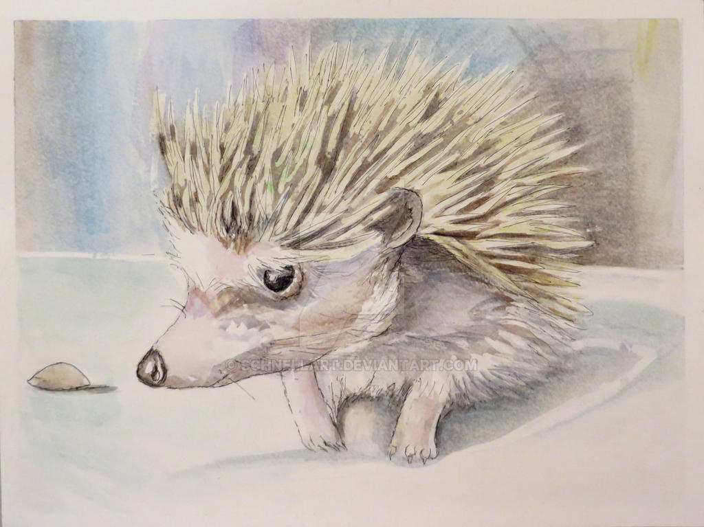 Devastation At Hobson Brown: You Won'T Believe Who'S Gone – View The Latest Obituaries - 0fzc3sy