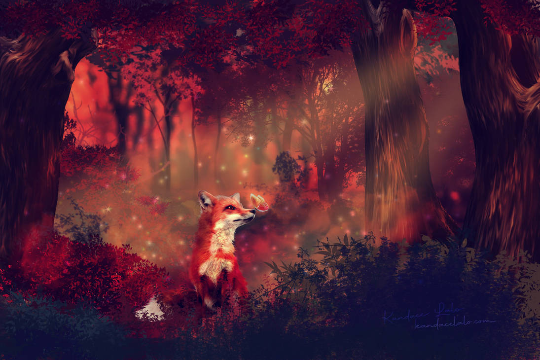 The Red Fox by kandacelalo on DeviantArt