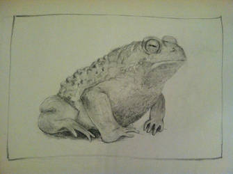 I just wanted to sketch a toad.