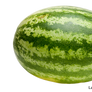 watermelon stock