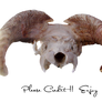 Animal Skull PNG