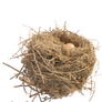 Nest Stock Png