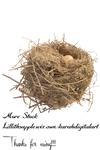 Nest Stock Png by KarahRobinson-Art