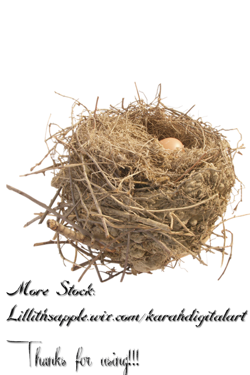 Nest Stock Png