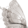 Butterfly Wings