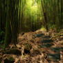 Bamboo Premade Background