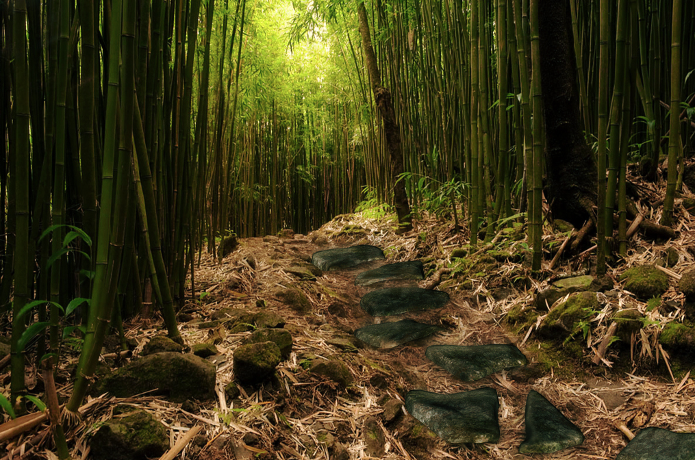 Bamboo Premade Background