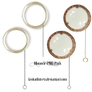 Monocle PNG Pack