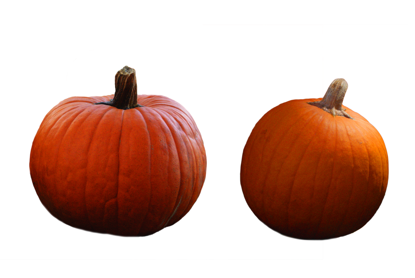 Pumpkin PNG