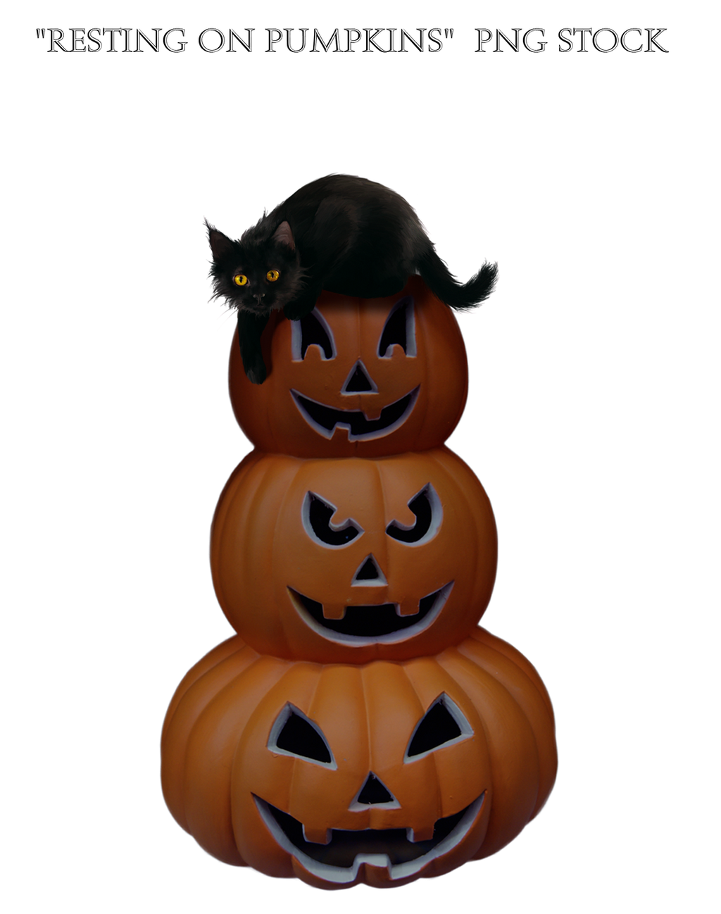 Resting on Pumpkins  PNG STOCK