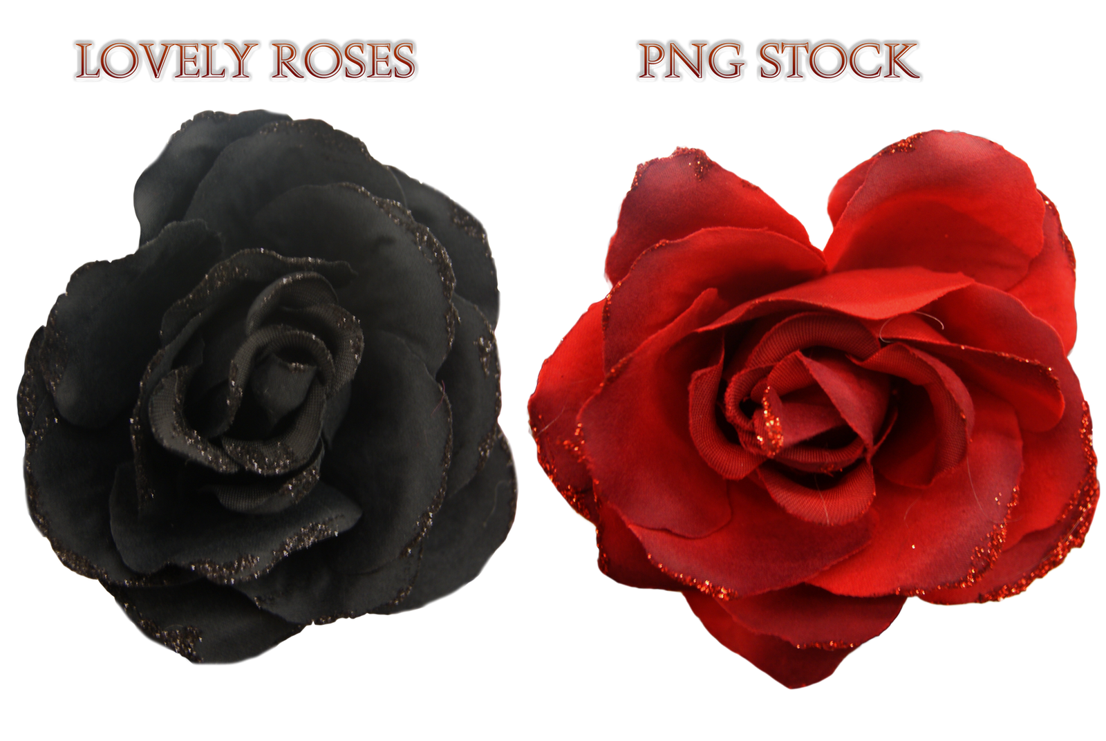 Lovely Roses     Png Stock