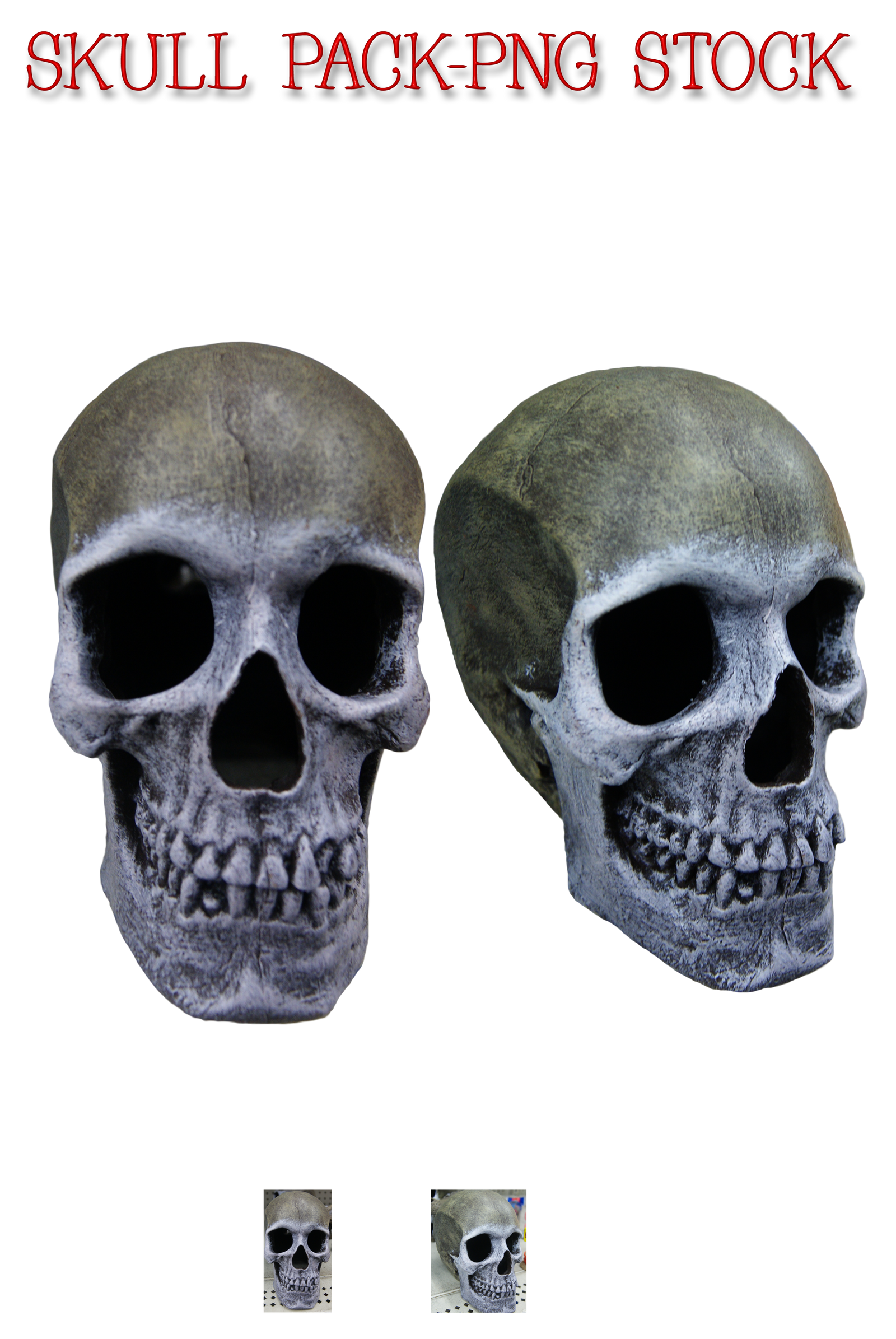 Skull Pack-png Stock