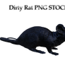 Rat PNG STOCK