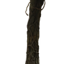 Tree Trunk PNG STOCK