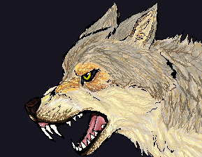 pixel wolf realism practice