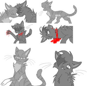 ashfur squirrelflight spam