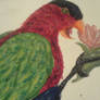 parrot painting