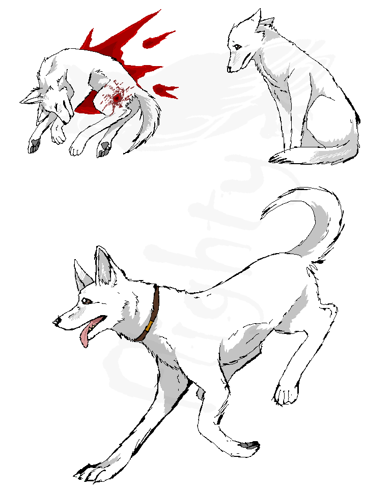 hewie doodles