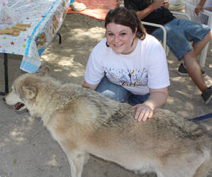 Wolf Sanctuary 2