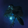 Light Raven